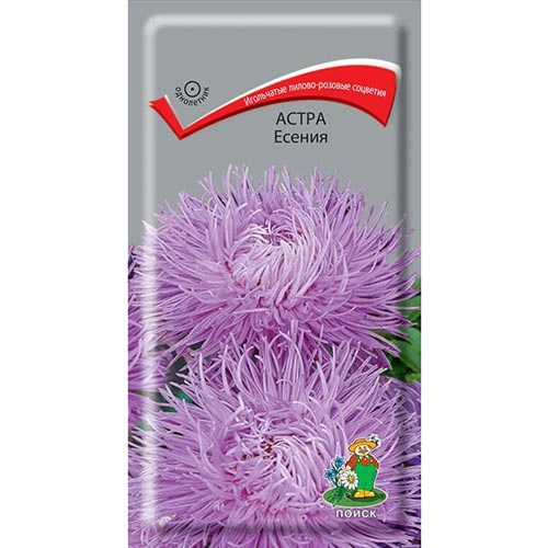 Астра Есения, семена артикул фото 1 Астра Есения, семена изображение 1 артикул 92879