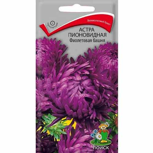 Астра Фиолетовая башня Поиск артикул фото 1 Астра Фиолетовая башня Поиск изображение 1 артикул 97865