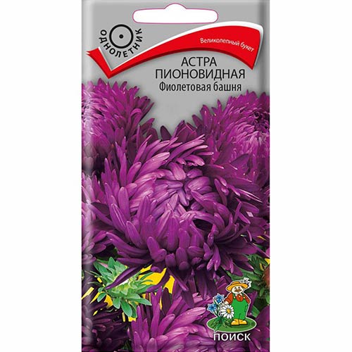 Астра Фиолетовая башня изображение 1 артикул 82067