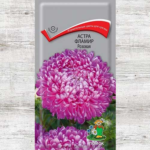 Астра Фламир розовая изображение 1 артикул 82069