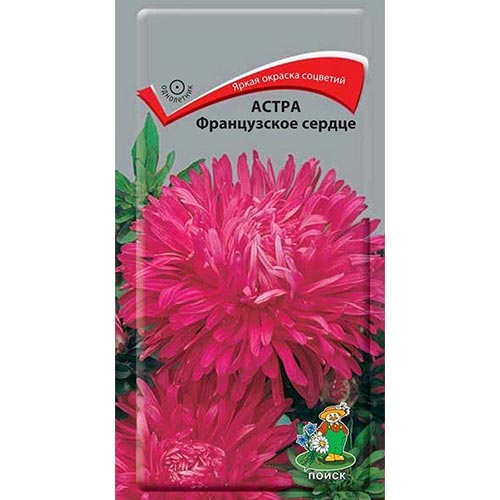 Астра Французское сердце, семена артикул фото 1 Астра Французское сердце, семена изображение 1 артикул 92887