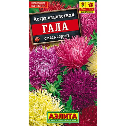 Астра Гала, смесь окрасок артикул фото 1 Астра Гала, смесь окрасок изображение 1 артикул 92422