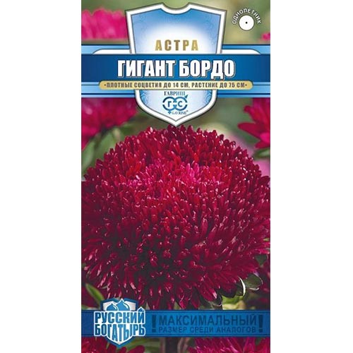 Астра Гигант Бордо, семена артикул фото 1 Астра Гигант Бордо, семена изображение 1 артикул 91918