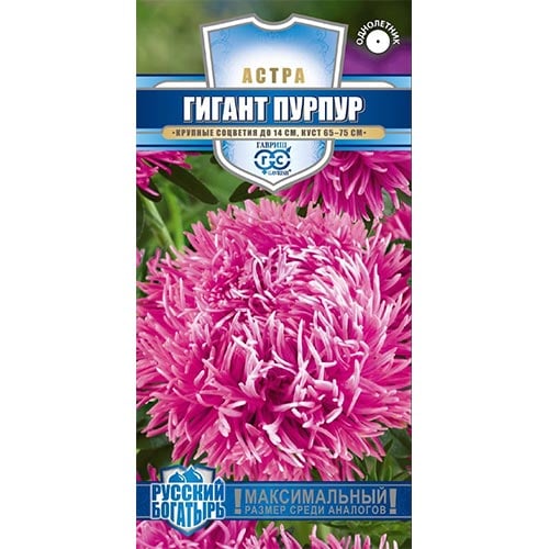 Астра Гигант Пурпур, семена изображение 1 артикул 91920