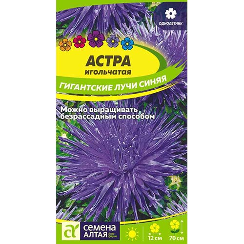 Астра Гигантские лучи синяя Семена Алтая артикул фото 1 Астра Гигантские лучи синяя Семена Алтая изображение 1 артикул 78113