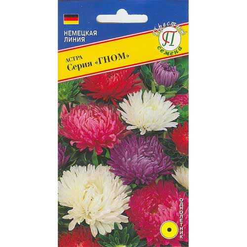 Астра карликовая Гном, смесь окрасок Престиж изображение 1 артикул 65787