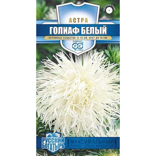 Астра Голиаф Белый, семена артикул фото 1 Астра Голиаф Белый, семена изображение 1 артикул 91921