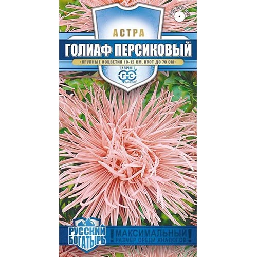 Астра Голиаф Персиковый, семена артикул фото 1 Астра Голиаф Персиковый, семена изображение 1 артикул 91922