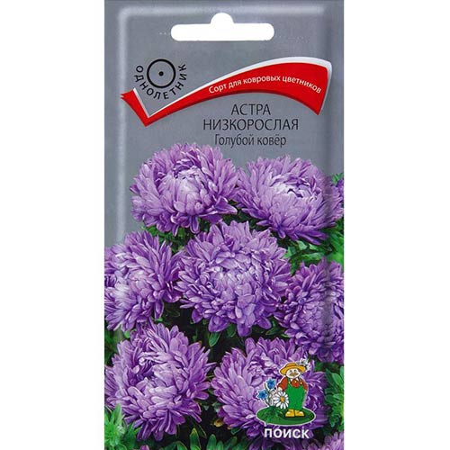 Астра Голубой ковер Поиск изображение 1 артикул 82050