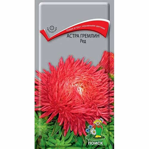 Астра Гремлин Ред Поиск изображение 1 артикул 82036