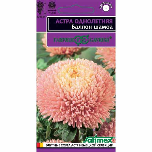 Астра густомахровая Баллон шамоа Гавриш изображение 1 артикул 40580
