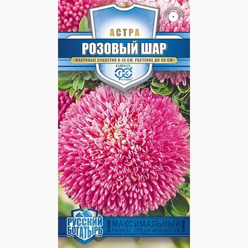 Астра густомахровая Розовый шар Гавриш артикул фото 1 Астра густомахровая Розовый шар Гавриш изображение 1 артикул 97591