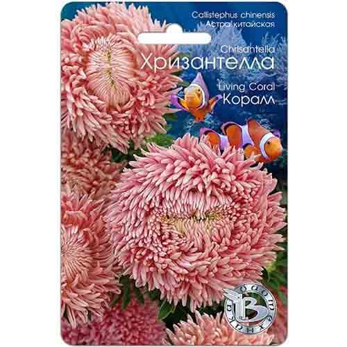 Астра китайская Хризантелла Коралл Биотехника изображение 1 артикул 84608