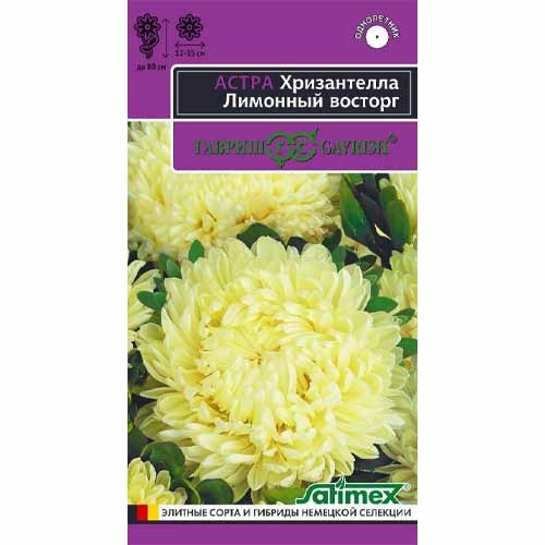 Астра Хризантелла Лимонный восторг Гавриш изображение 1 артикул 40583