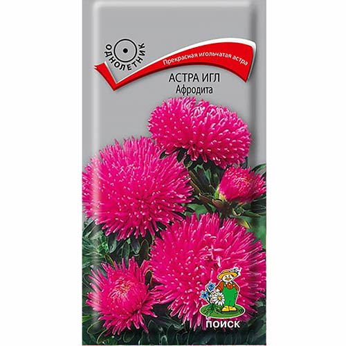 Астра Игл Афродита Поиск изображение 1 артикул 82038