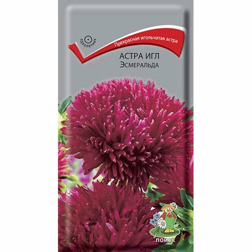 Астра Игл Эсмеральда Поиск изображение 1 артикул 82042