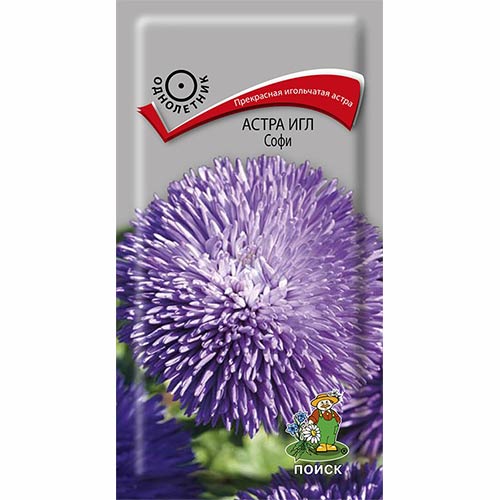 Астра Игл Софи Поиск артикул фото 1 Астра Игл Софи Поиск изображение 1 артикул 82041