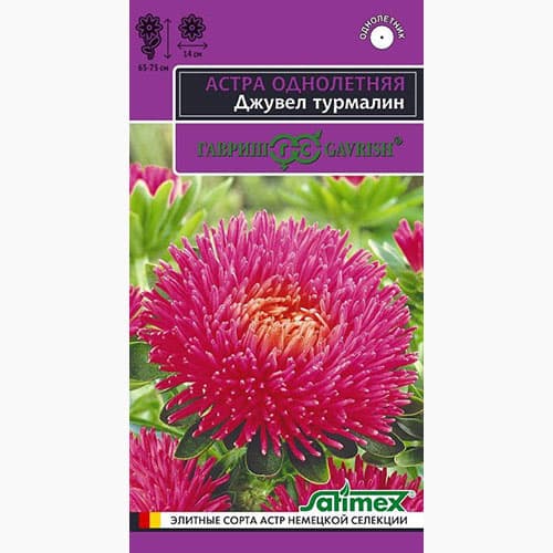 Астра игольчато-коготковая Джувел Турмалин Гавриш изображение 1 артикул 97581