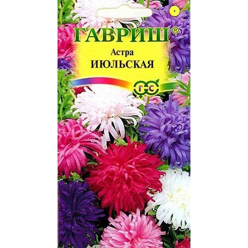 Астра Июльская, смесь окрасок артикул фото 1 Астра Июльская, смесь окрасок изображение 1 артикул 91929