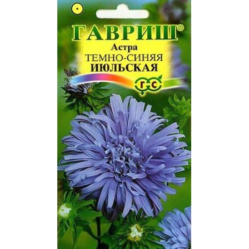 Астра Июльская темно-синяя, семена артикул фото 1 Астра Июльская темно-синяя, семена изображение 1 артикул 91928