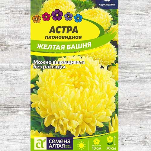 Астра Желтая башня изображение 1 артикул 81611