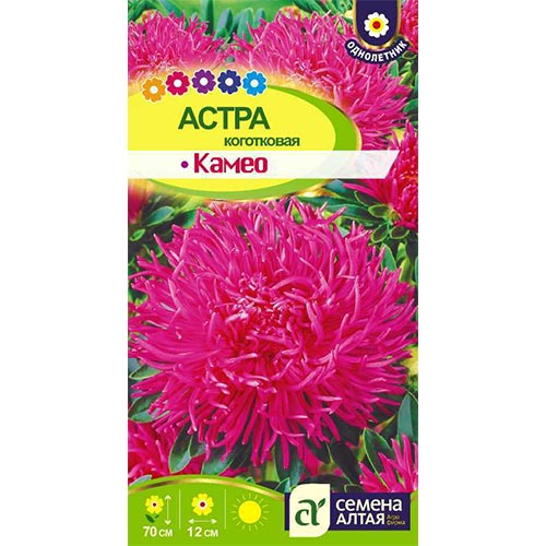 Астра Камео, семена артикул фото 1 Астра Камео, семена изображение 1 артикул 94119