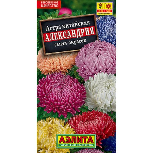 Астра Александрия, смесь окрасок Аэлита изображение 1 артикул 98826