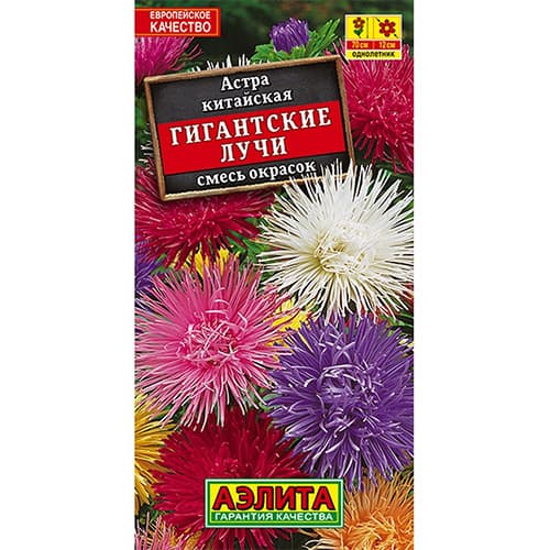 Астра китайская Гигантские лучи, смесь окрасок Аэлита изображение 1 артикул 98828
