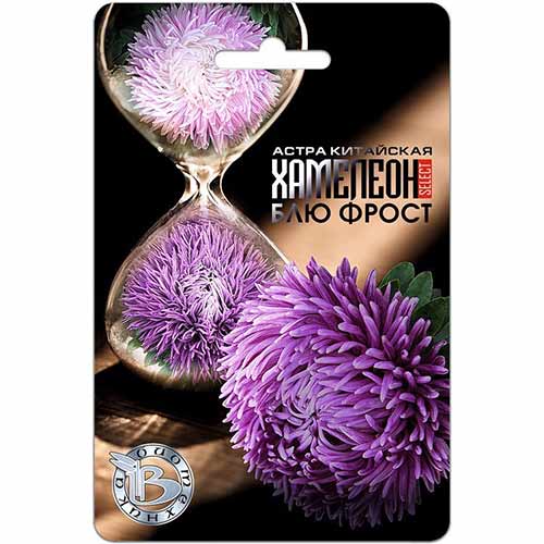 Астра китайская Хамелеон селект Блю Фрост Биотехника изображение 1 артикул 74061