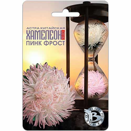 Астра китайская Хамелеон селект Пинк Фрост Биотехника изображение 1 артикул 74062