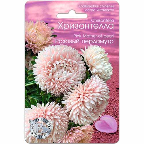 Астра китайская Хризантелла Розовый перламутр Биотехника изображение 1 артикул 74066