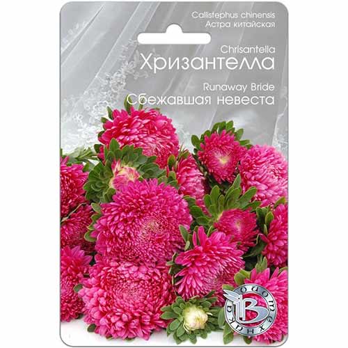 Астра Хризантелла Сбежавшая невеста Биотехника изображение 1 артикул 74067