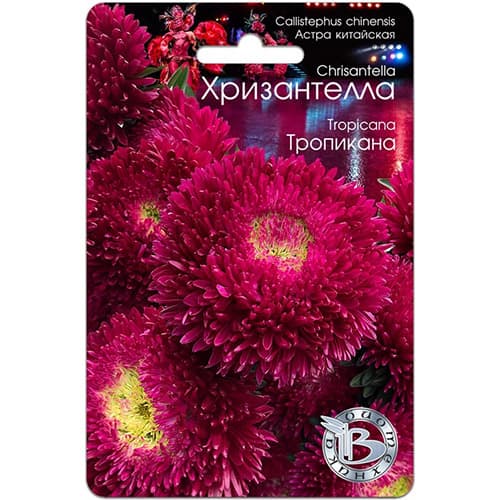 Астра китайская Хризантелла Тропикана Биотехника изображение 1 артикул 97323