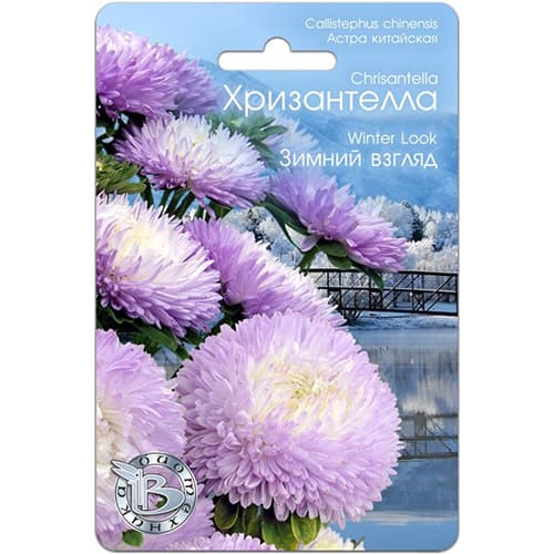 Астра китайская Хризантелла Зимний взгляд Биотехника изображение 1 артикул 97321