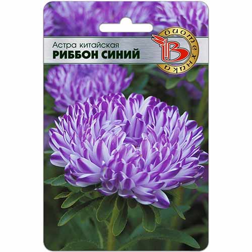 Астра Риббон синий Биотехника артикул фото 1 Астра Риббон синий Биотехника изображение 1 артикул 74785
