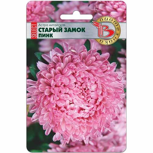 Астра китайская Старый замок селект Пинк Биотехника изображение 1 артикул 74056