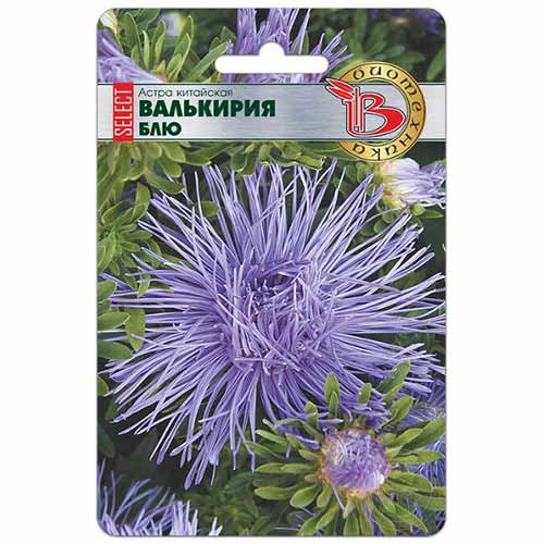 Астра китайская Валькирия селект Блю Биотехника изображение 1 артикул 74787