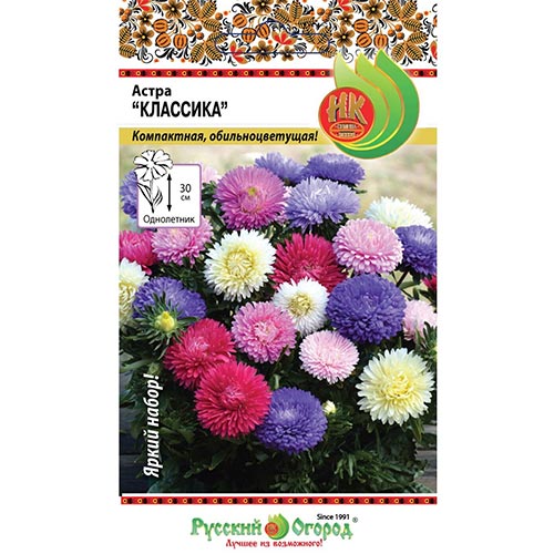 Астра Классика, смесь окрасок артикул фото 1 Астра Классика, смесь окрасок изображение 1 артикул 92426