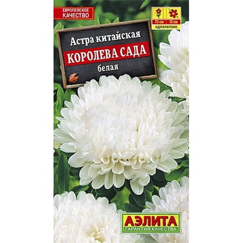 Астра Королева сада белая Аэлита изображение 1 артикул 40276