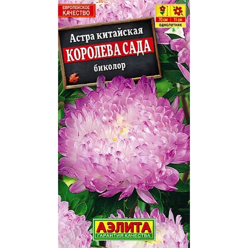 Астра Королева сада биколор Аэлита артикул фото 1 Астра Королева сада биколор Аэлита изображение 1 артикул 40277
