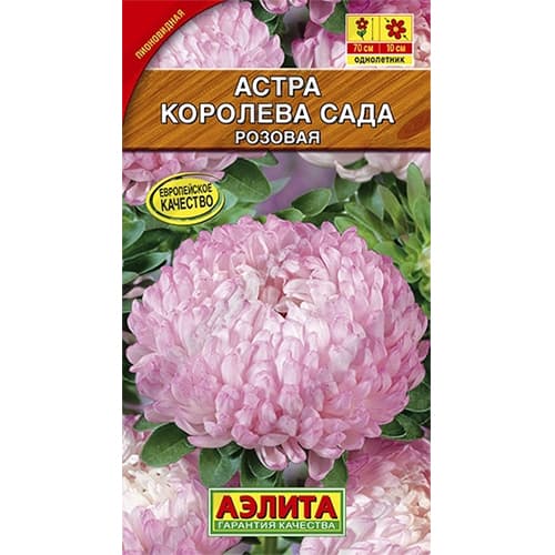 Астра Королева сада розовая Аэлита изображение 1 артикул 40279