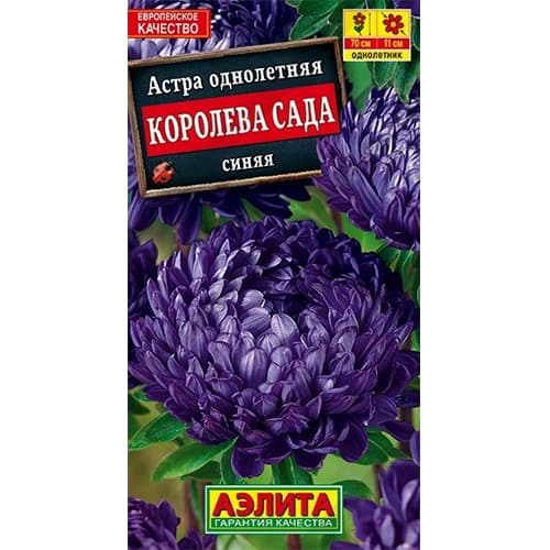 Астра Королева сада синяя Аэлита артикул фото 1 Астра Королева сада синяя Аэлита изображение 1 артикул 40280