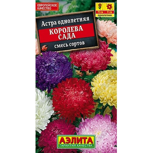 Астра Королева сада, смесь окрасок Аэлита артикул фото 1 Астра Королева сада, смесь окрасок Аэлита изображение 1 артикул 40281