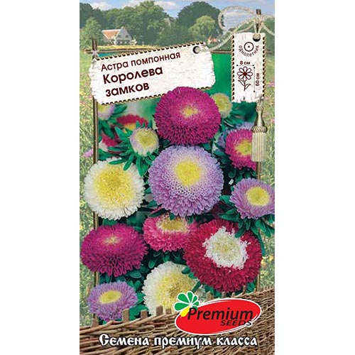 Астра Королева замков, смесь окрасок артикул фото 1 Астра Королева замков, смесь окрасок изображение 1 артикул 93193