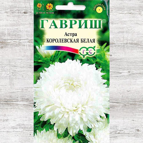 Астра Королевская белая Гавриш артикул фото 1 Астра Королевская белая Гавриш изображение 1 артикул 71114