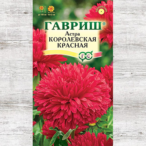 Астра Королевская красная изображение 1 артикул 71115