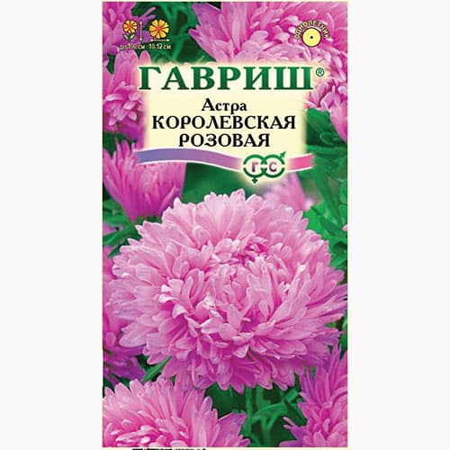 Астра Королевская розовая Гавриш артикул фото 1 Астра Королевская розовая Гавриш изображение 1 артикул 97585