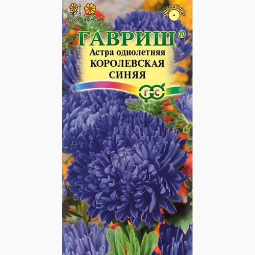 Астра Королевская синяя Гавриш изображение 1 артикул 97586