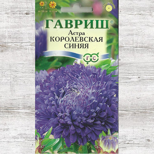 Астра Королевская синяя изображение 1 артикул 71117