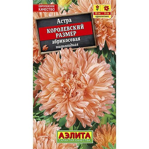 Астра Королевский размер абрикосовая Аэлита артикул фото 1 Астра Королевский размер абрикосовая Аэлита изображение 1 артикул 98860
